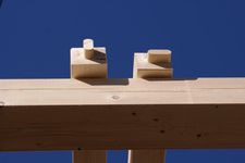 joint tenon